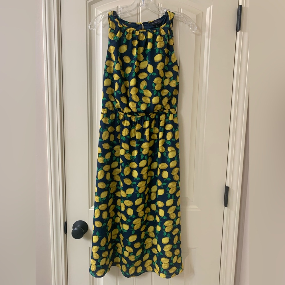 The Limited Navy and Yellow Lemon Print Dress
